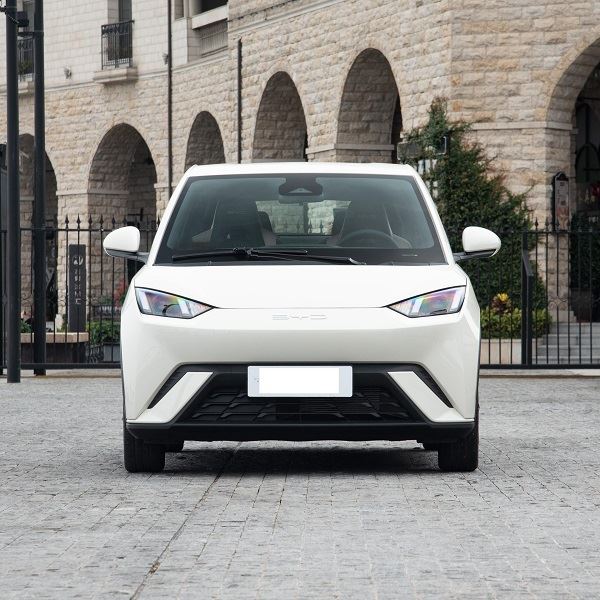 Pure Electric Vehicle