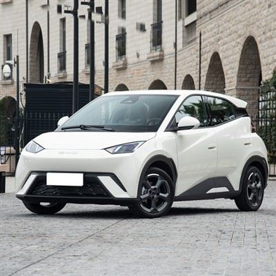 BYD SEAGULL EV