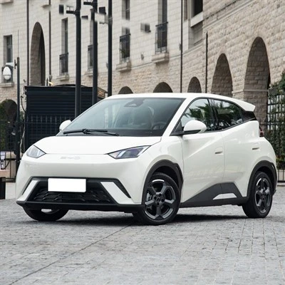 Electric Vehicle Brand