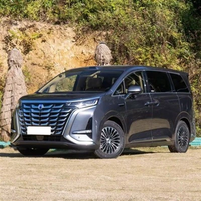 Denza D9 MPV Plug-in Hybrid 7SEATS
