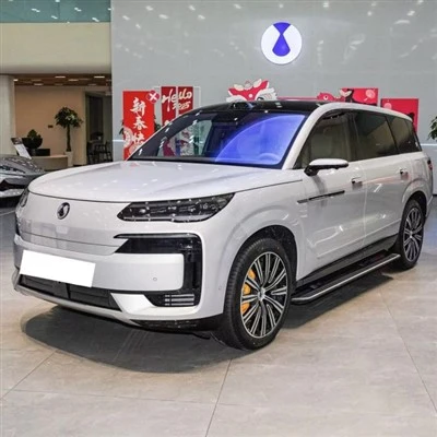 Denza N9 Plug-in Hybrid 202km