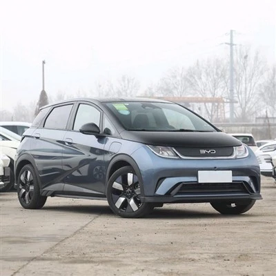 Electric Vehicle Cheap Price