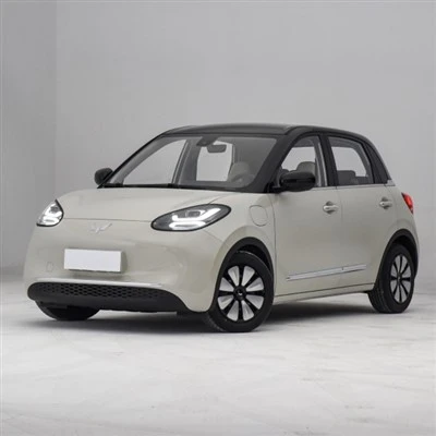 Small Electric Car
