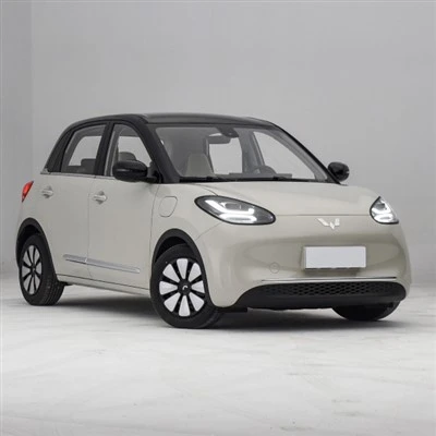 Small EV Car Price